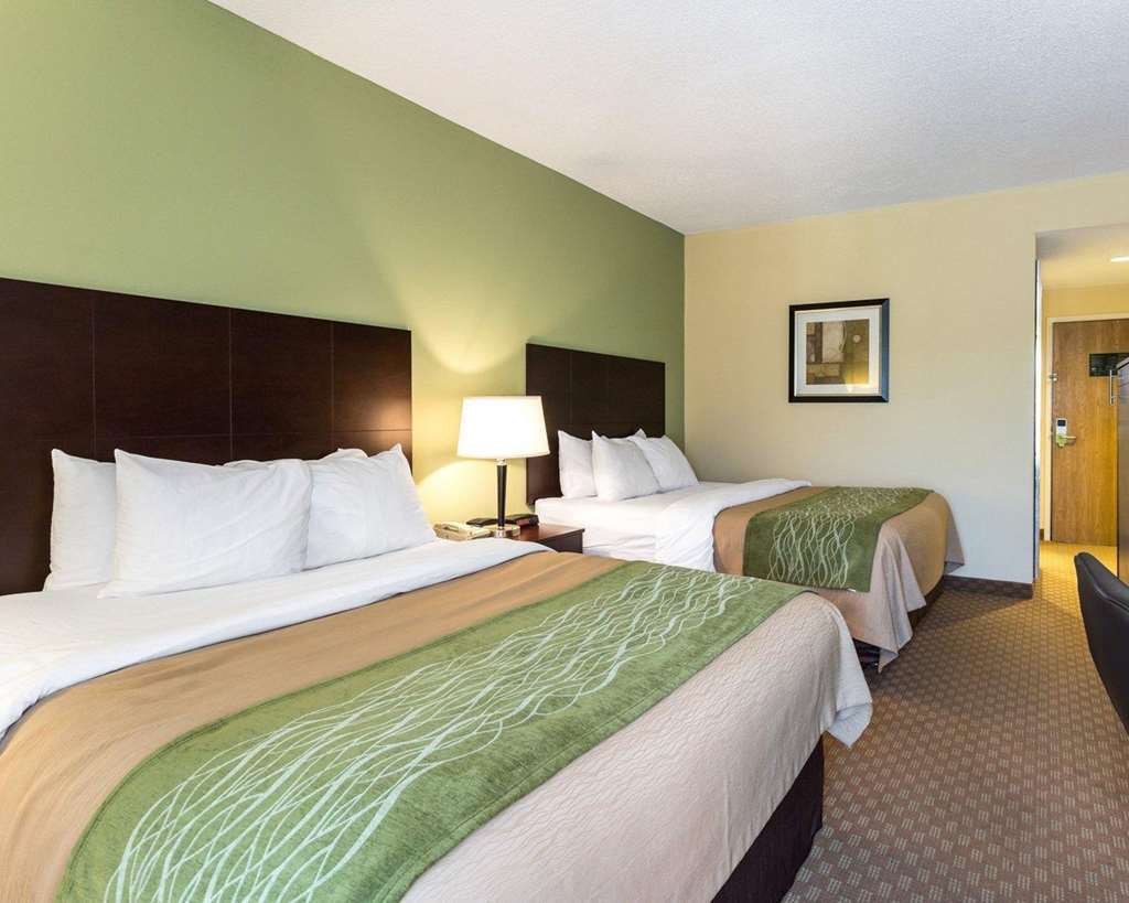 Comfort Inn Horn Lake Habitación foto